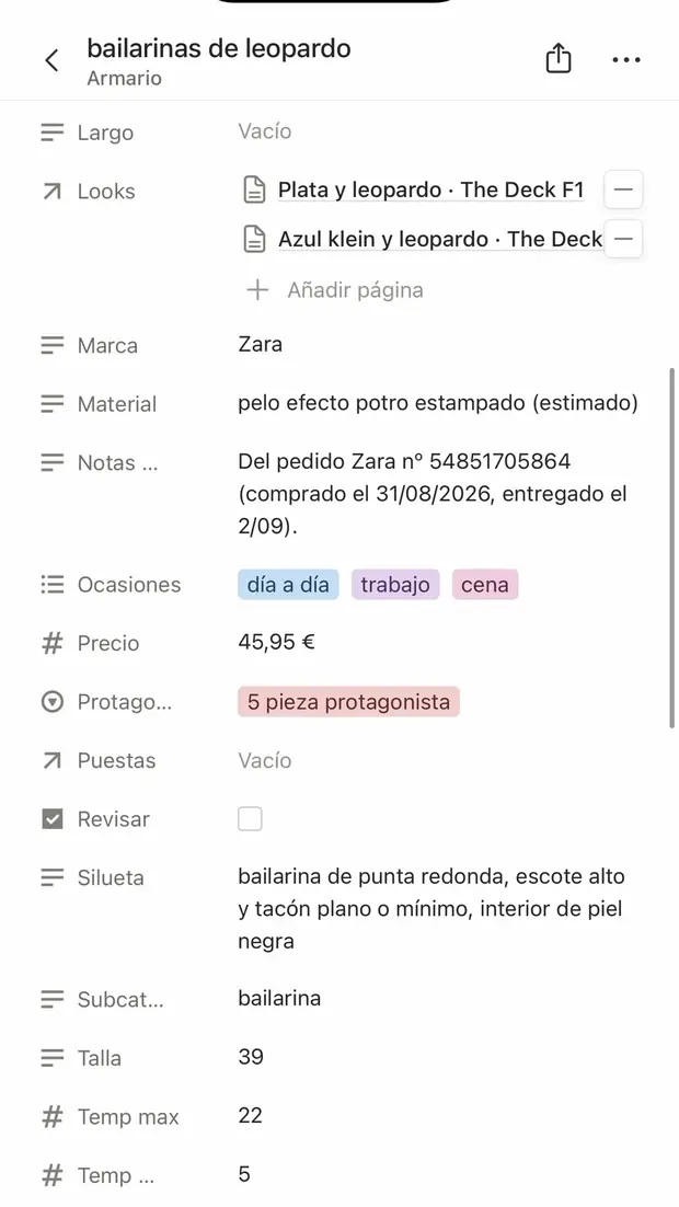 Ficha de una prenda en Notion con todos sus campos